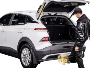 Alternative view of Nâng Cấp Cốp Điện Cho Limo Green Tại Vũng Tàu Và Hồ Chí Minh – Tiện Lợi, An Toàn, Chính Hãng